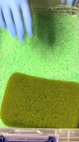 Settled squeeze with that yummy cloud paste I made😍😍 I added some more baking soda and dish soap😮‍💨😮‍💨 this sponge is currently soaking in this goodness😍😍#creatorsearchinsights #trending #fyp #lowqualityasmr #viral #lofi #CleanTok #FYP #spongeasmr #viralvideos #cleantokasmr #cleaningtiktok #asmr #fypシ #asmrvideo #asmrsoundsontiktok #spongetherapy #soapyspongesqueezing 