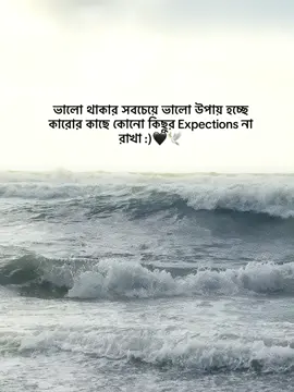 - Asholey🖤 #_humaira_567 #foryou #foryoupage #unfrezzmyaccount 
