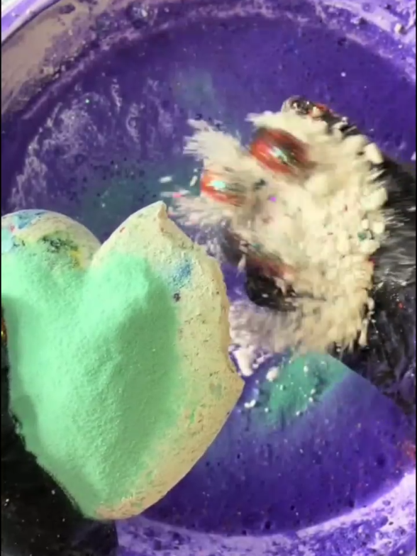 cr : unplainjaneasmr #asmrcommunity #asmrrelax #oddlysatisfying #satisfyingvideos #asmrsounds #fyppppppppppppppppppppppp #creatorsearchinsights #unfreezemyaccount #fypシ゚viral #trending #asmr 