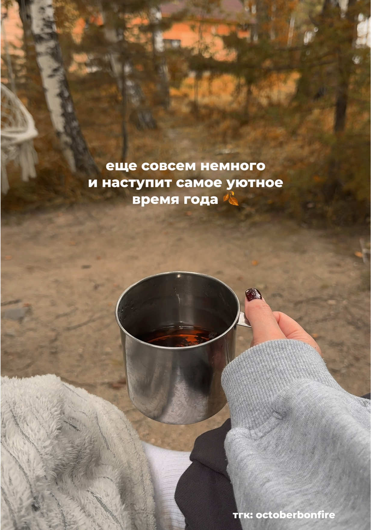 август - маленькая осень!🍂 | тгк: octoberbonfire  #осеннийвайб #autumn #autumnvibes #осень #fallinspo #fallvibes #aesthetic #эстетика #осень #осень #сентябрь 