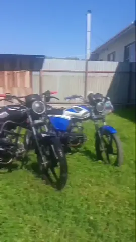 @сенечка делает🫣🫣 #покатушки #moto #alpha #мотосезон2025 ##люблюальфу 