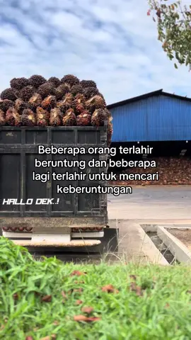 💪#fyp #beranda #rrgroup #sawitriau 