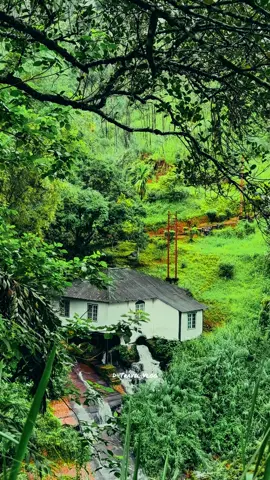 සුරන්ගනා කතාවක තැනක් වගේ 🍃😍 #kadiyanlena #vibes #viral #fyp #travel 