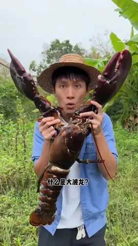 #lobster #mukbang #delicious #food 