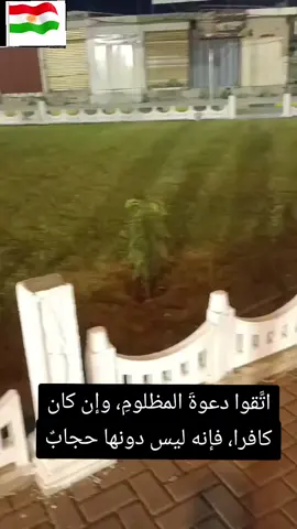 #@اتَّقوا دعوةَ المظلومِ، وإن كان كافرا، فإنه ليس دونها حجابٌ#@