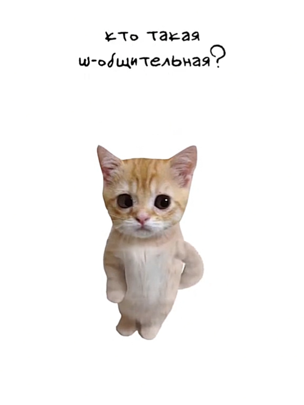 Кто же такая ш-общительная?#fyp #котик #позновательно #юмор 