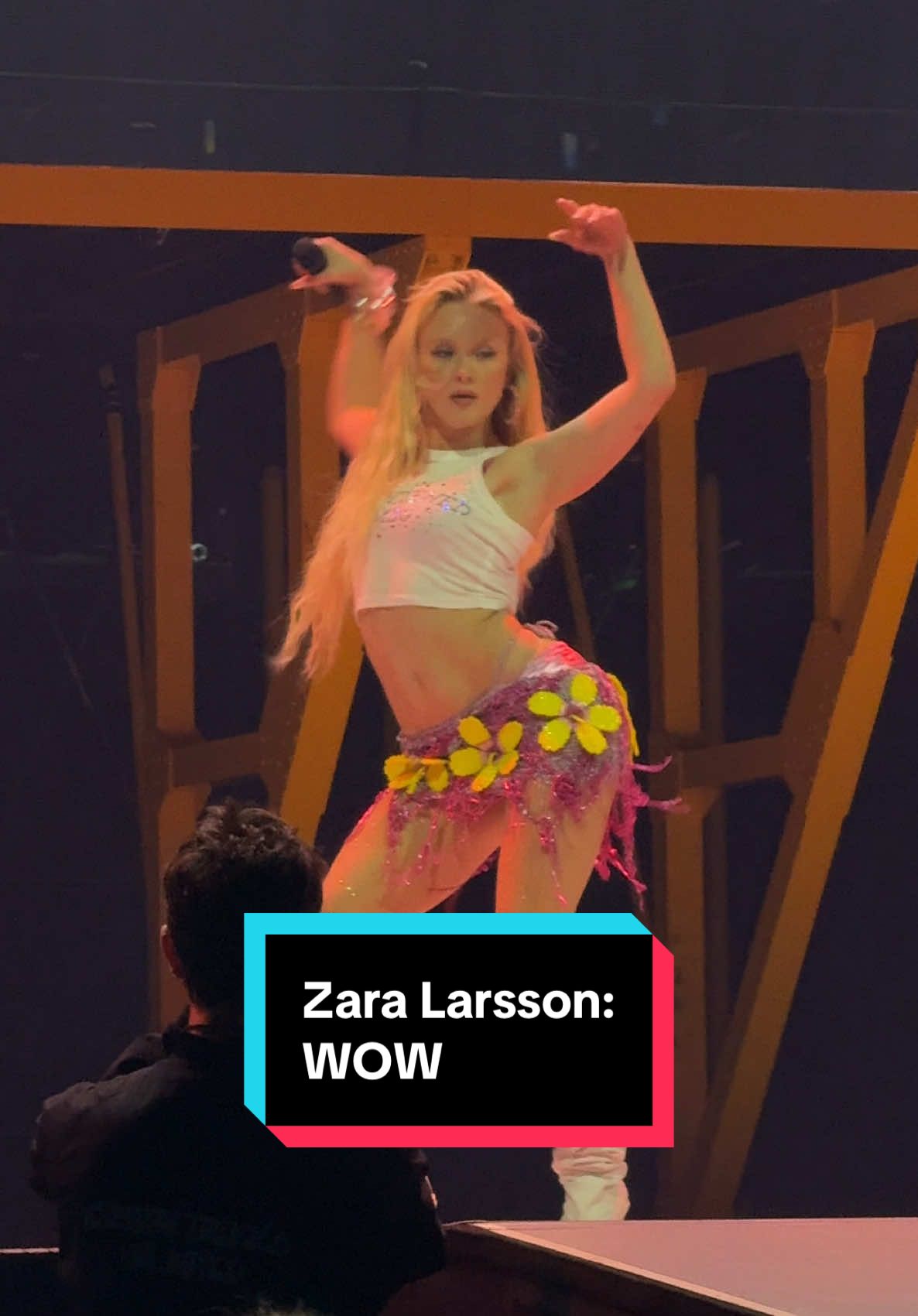 @Zara Larsson delivered insane vocals 🔥 #zara #zaralarsson #misspossesive #concerts #vancouver #rogers #fyp #fypageシ #concert #fypagee #wow 