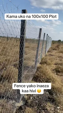 Looking to fence using Plastic Posts? 🤙🏾0113274664 for durable, aesthetic fencing posts that do not rot, rust, insect resistant & cannot be stolen for firewood.  #fyp #timaogroup #kenyantiktok🇰🇪 #nairobitiktokers #farm #plasticpoles #chainlinkfence #kisumutiktoker #mombasatiktokers 