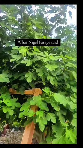 Nigel Farage reaction: when a journalist asked a question where the migrants in the brook Hotel should be deported ۔He said  I am sorry we are done👍