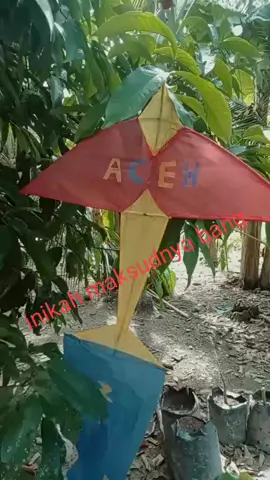 ini kah maksud nya bang #fypシ #fypシ゚viral🖤tiktok #fyppppppppppppppppppppppp #layangan #aceh
