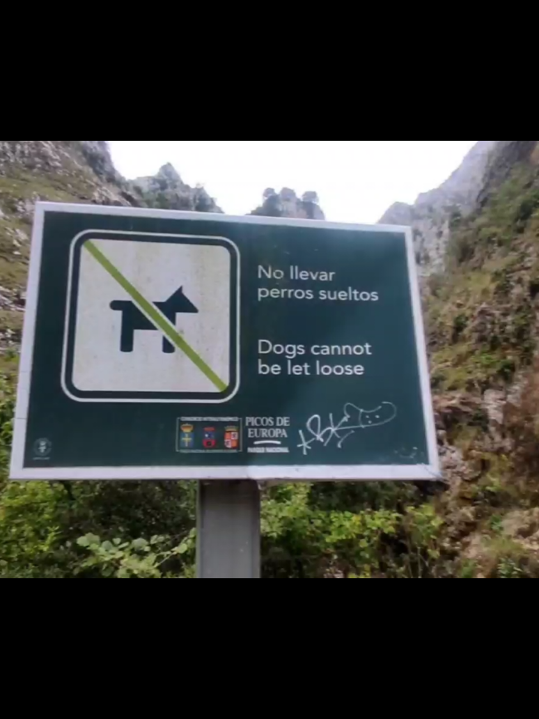 #LoboEstepario #parati #paratiiiiiiiiiiiiiiiiiiiiiiiiiiiiii #fyp #viralvideo #playas #humor 