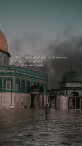 #TTT 