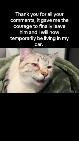 Your words gave me courage to leave him. It’s 4 am right now and I’ve packed all I need. I guess I’m basically homeless since I can’t really go back to my parents. But it’s for the best for my baby boy. I will be taking him to the vet as soon as possible and thank you for giving me the courage to leave that abusive bastard. More context in my GoFundMe, please share it and help me and my cat out #abuse #fyp