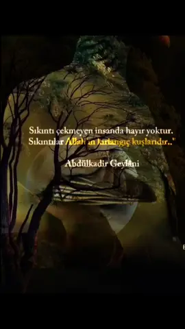 #🖤 