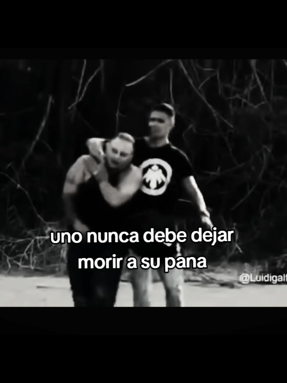 care muerto lo enseñó que la lealtad primero ❤️‍🩹#paratii #Viral #venezuela #colombia #azotedebarrios #caremuerto #fpy #azote #cárceloinfierno#maikel #rosariotijeras #fyp #alicia #dúo #ssshpedit #maikeldalmiro #amigo  #pasotedebarrio #fypシ゚ 