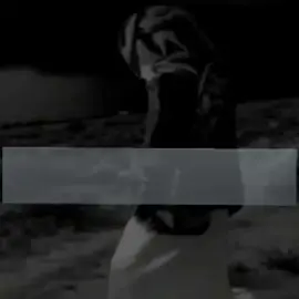 #عشقي_اليمن👈🇾🇪♥️✌🦅