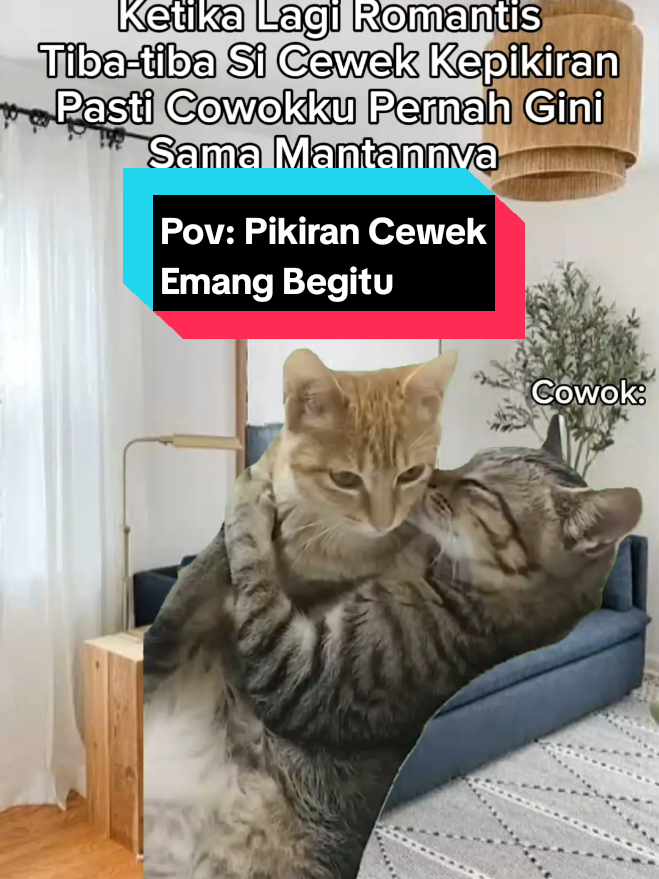 Gimana Nih Para Cowok Perasaanya 🤭🤣#fypシ #memecat #memekucing #catlover #catlovers #fypシ 