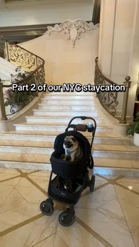 Part 2: Staycation at The Plaza: Day of shopping & food 
