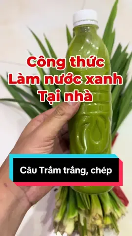 Tự tay làm ra chai nước xanh để câu cá trắm trắng, cá chép. Ae thử cùng mình nha. 😇😇 #ngiencau #typ #caucagiaitri #xh 