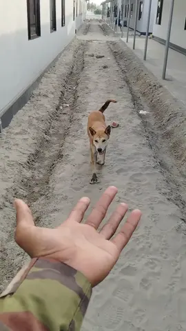🥰🥰#😂😂🥱 