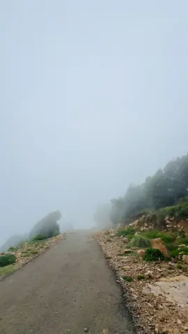 Yakbhai Top😶‍🌫️⛰️😍