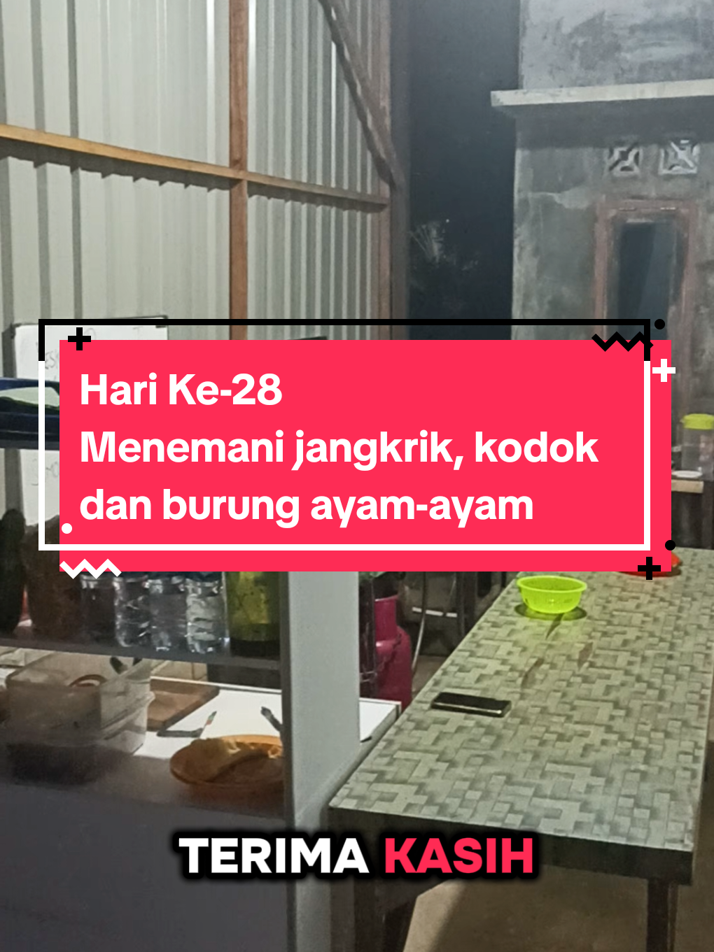 Hari ke-28 hari ini tumben mereka bercengkrama dengan nyaring, kalah-kalah suara mesin proyek #bontangkaltim #bontang #pengusahamuda #usaha #usahasendiri #usaharumahan #nasigorengnedhasega #nedhasega 