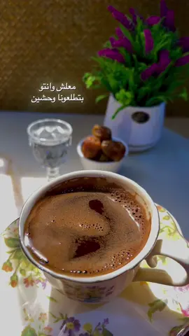 #اكسبلورexplore 