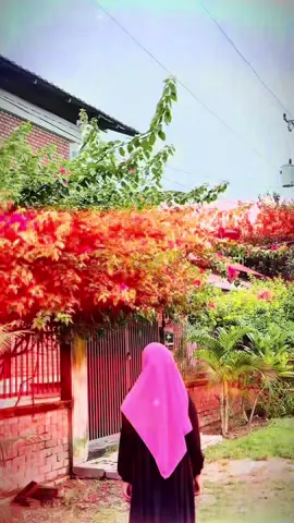 #foryou #foryoupage #vairal_video_tiktok #foryoupageofficiall 
