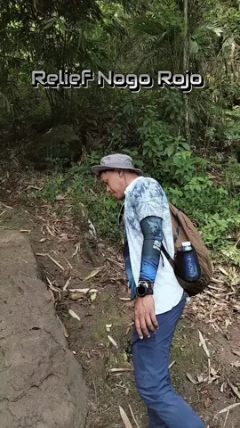 Eksplore 5  (Situs Pawitra) masih seputar jalur pendakian ke arah kendalisodo kali ini bertemu dgn relief unik yg di artikan seperti naga..walaupun lebih mirip seperti buaya ya . #relief #situsbudaya #jolotundo #jalurkuno  #RiyansahWdangUwuh  #jawatimur #fypviral 