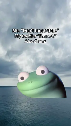 Being a toddler mom is a wild ride 😅💀 Why do they look you dead in the eye and lie like they pay bills?? What’s something your toddler does that makes you question reality?👇 #toddlersoftiktok #MomsofTikTok #momlife #lizard #lizard #parentinghumor