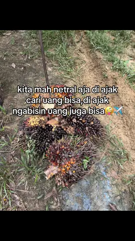 kasih info”✈️#katakata #katakatastorywa_ #katakatamutiara #petanimuda #petanisawit #kulisawit #anakpetanisawit 
