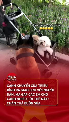 Dễ thương quá #beatnetwork #hellovietnam #tiepluatuhao 