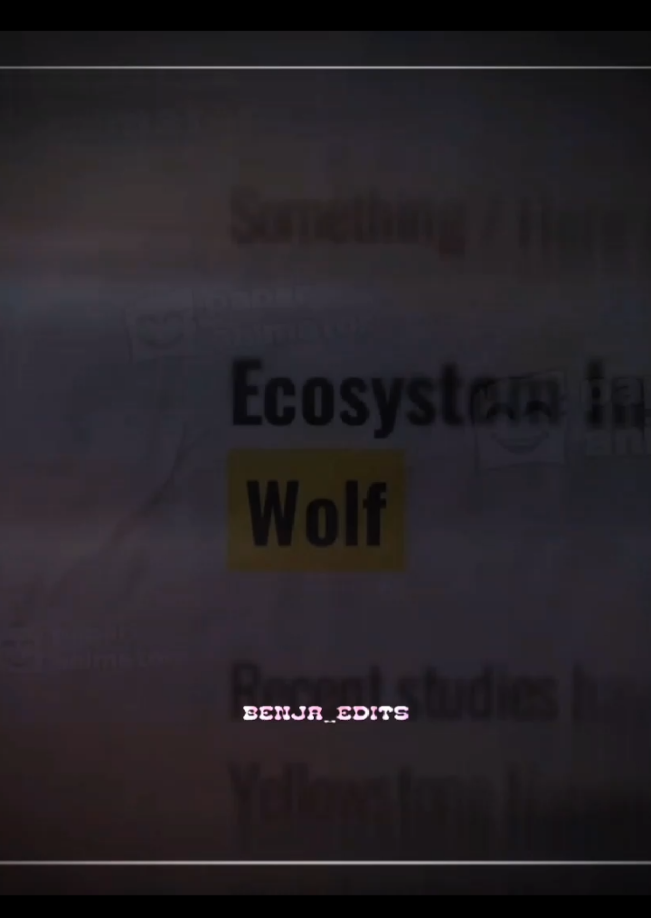 Wolf🐺 ||| #edits #contenido #wolf #llobosolitario #aura #animals #capcut #aftereffects #viralvideos #fypシ゚ #paratii #wolfcut #paratiiiiiiiiiiiiiiiiiiiiiiiiiiiiiii #paratiiiiiiiiiiiiiiiiiiiiiiiiiiiiiii 