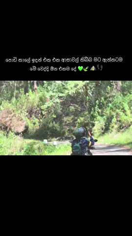 ජීවත්වෙලා ඉන්නකන් මේ විදිහට නිදහසේ ඇවිදලා ඉන්න තිබ්බනන් ඇති Youtube - Travel with Fera #photography #travel #foryou #viral #Vlog #srilanka #travelwithfera #traveltiktok #videography #cinematography #cinematic 