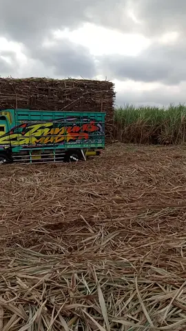 jare juragan e di losss.no wes👍👍👍👍 #cctvtebumanisjosssenggoldong #fyppppppppppppppppppppppp  @𝕒𝕟𝕕𝕚 𝕡𝕣𝕒𝕥𝕒𝕞𝕒 @abdrrosyidsyid909 @Tebu manis105 