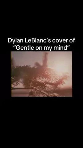 Dylan LeBlanc’s Cover of “Gentle on my mind” from the pastimes album. #dylanleblanc #cautionarytale #renegade #coyote #singer #songwriter #singersongwriter #album #record #song #music 