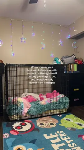 he’s never put our dogs to bed so fast 
