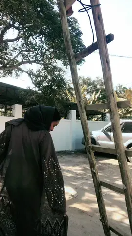 #foryoupage #cupcut #trendingvideo #zanzibar🇹🇿 