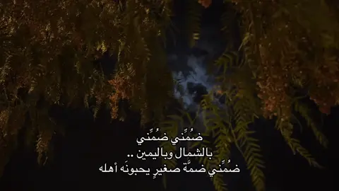 #اكسبلور 
