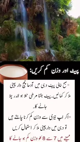 Pait aur wazan kam karne ka tarika #wazankam #wazankamkaro #wazankamkarnekaasantareeqa #pait #paitkamkarnekeasantareeqe #weightlosstransformation #healthyrecipes #healthtips #wazifa #dua #islamicvideo #muslim #foryoupage❤️❤️ #islamicpost #islamicchannel #darcheeni #dehi #khalipait #fyp 