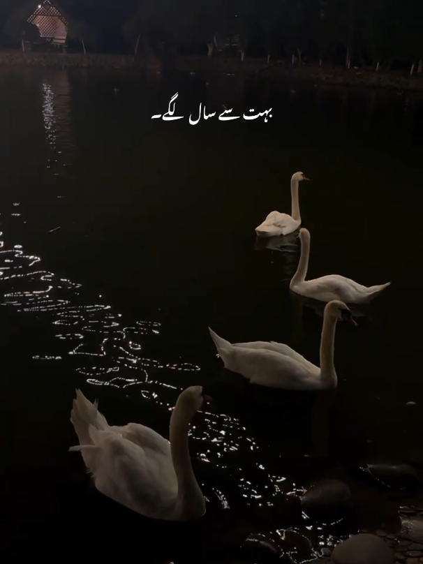Zakir Ali Abbas Askari ❤️ #peotry #trending #foryoupage #foryou #sadpeotry #veiwsproblem #unfreezemyacount #zakirabbas #zakirabbasaskari❤️ #zakirabbasaskari #zehrashah 