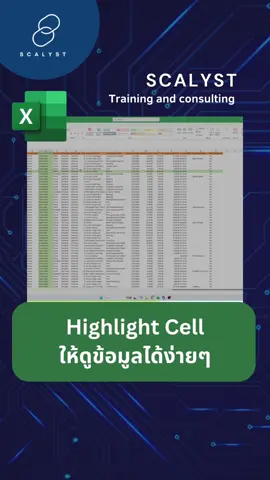 ดูข้อมูลง่ายยิ่งขึ้นด้วยการ Highlight Cell😲#scalystขับเคลื่อนสังคมด้วยข้อมูล #exceltips #fyp 