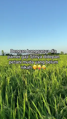 #fyppppppppppppppppppppppp #anakpetani🌾 #ilmupadi🌾🔥 #wijapaggalung🌾 #storytime #katakatastorywa_ #bugistiktok #sidrap📍 #galan27⚡ 
