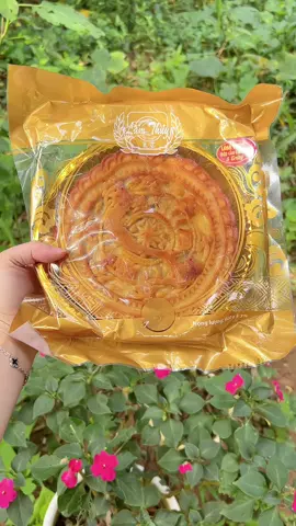 Bánh trung thu 600g Lâm thủy#banhtrungthu #banhtrungthumochi #banhtrungthulamthuy #banhngonmoingay #xuhuong #xuhuongtiktok 
