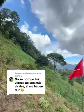Respuesta a @Diana V. Tienen 72 horas para ayudarme a llegar a los 10k. #comedia  gracias por estar aquí saludos refundicionales 