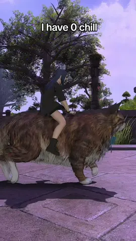 I have 0 chill, the Maine Coon cat mount was a must xD  HAPPY PATCH DAY #ffxiv #ff14 #finalfantasyxiv #finalfantasy14 #mainecoon #cat #mount #dawntrail #patchday #emetselch #warrioroflight  Thanks for the help @GrumpyEmet 