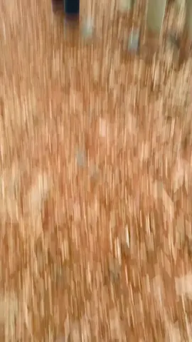 #foryou #tiktok @Shihab vai🌸 @ Evan Faysal  @Even Leon_⚡︎99 @R A K I B 🕊️ @S A J U @Even Leon ⚡ @Rifat @🎭<Rski>🎭 @Sakil Molla @⚡ A M Akash ⚡ @꧁꧅আম্মুর_কিউট_ছেলে꧅꧂ @ফরিদপুরে ছেলে আমি 🥀🫰🤟🤟 @💋EVAN ABDULLAH💋 