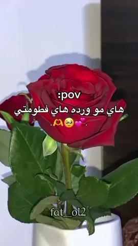 فطومتي 💖🥺#pyyyyyyyyyyyyyyyyyyyyyyyyyyyyy #المصممه_فطم #طششونيي🔫🥺😹💞 #في هذا اليوم 