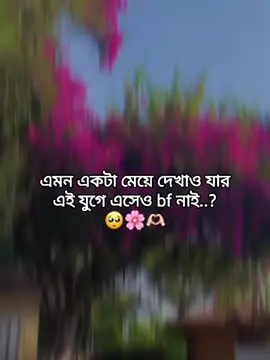 🥺🌸👀 #☘️cute_siyam☘️ #pyfツviral #vairal #pyfツ #fypシ #foryou 
