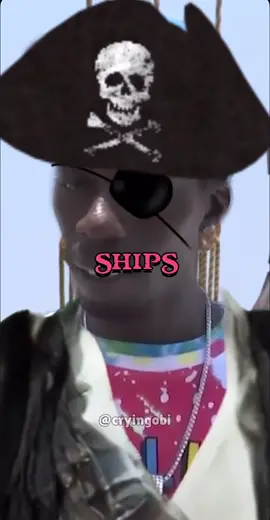 They stole 21 ships #meme #pirate #brainrot 